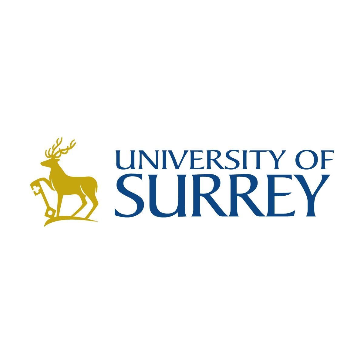 University of Surrey