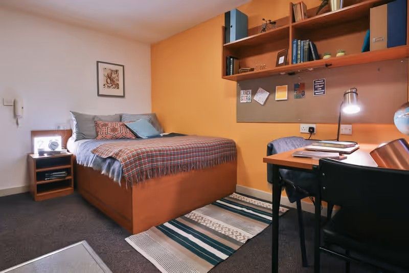 Classic Bigger Shared Apartment