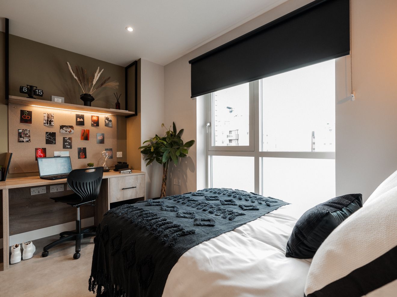 Premium Studio - Dual Occupancy