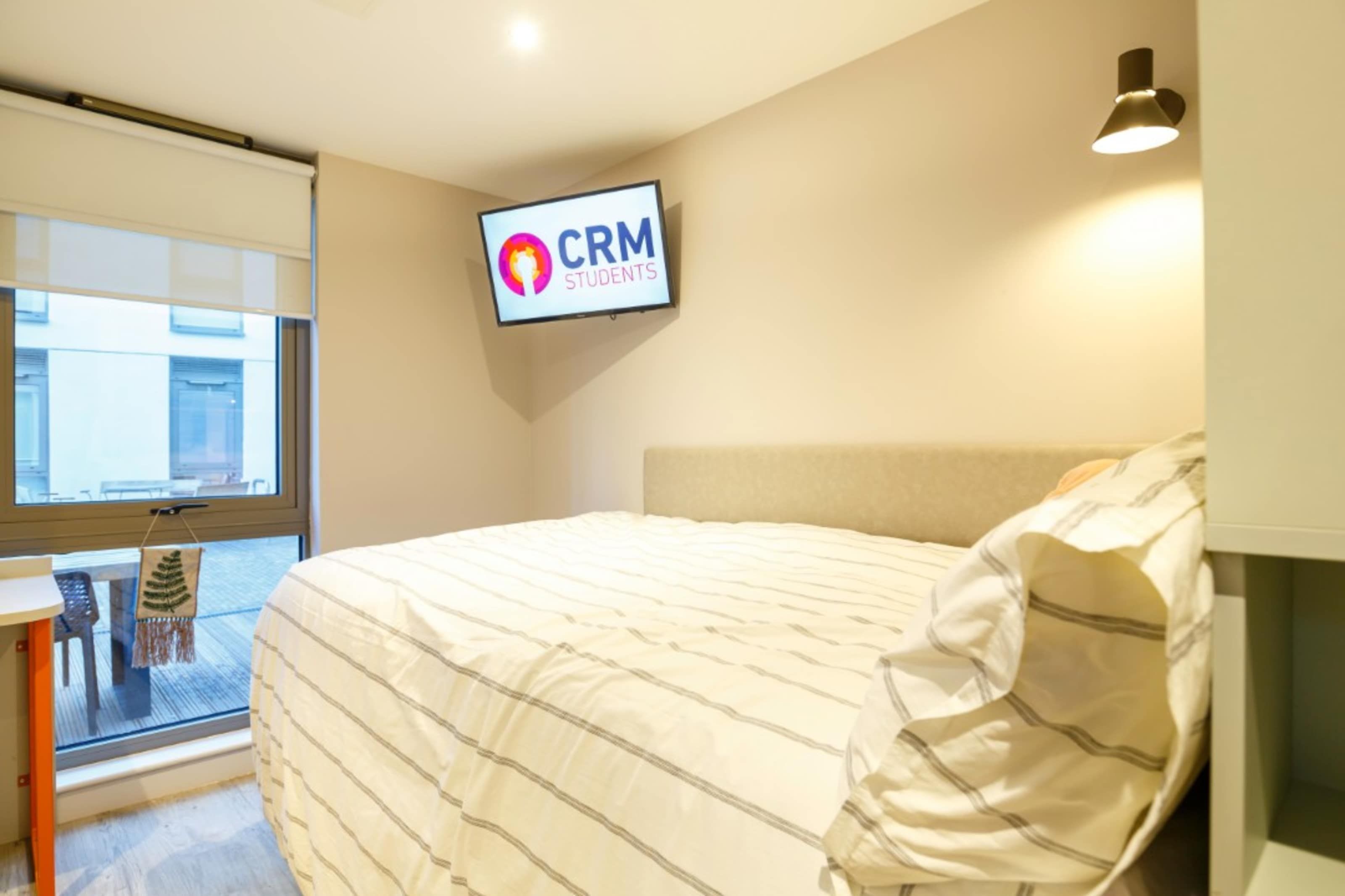7 Bed Studio
