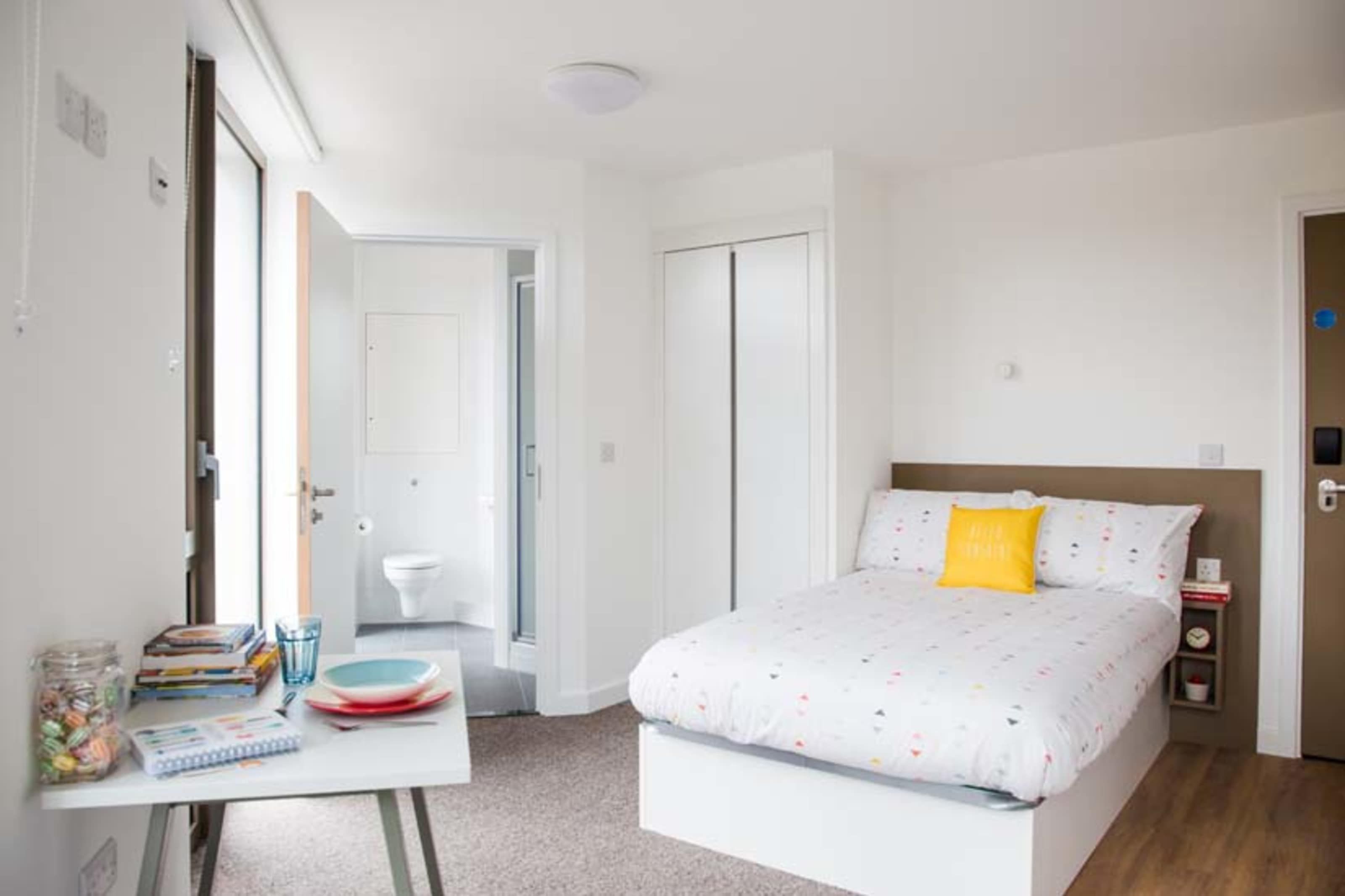 Platinum Studio Accessible