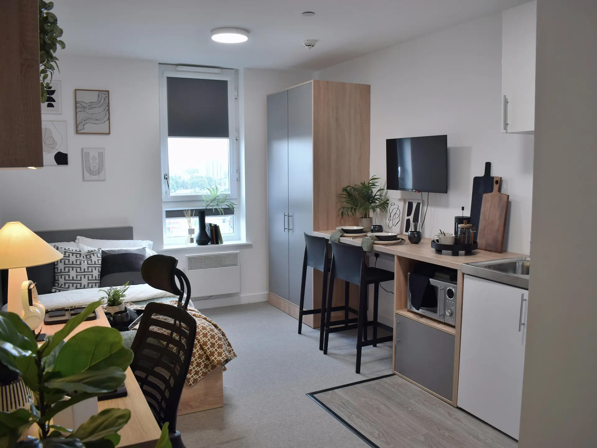 Premium Plus Studio