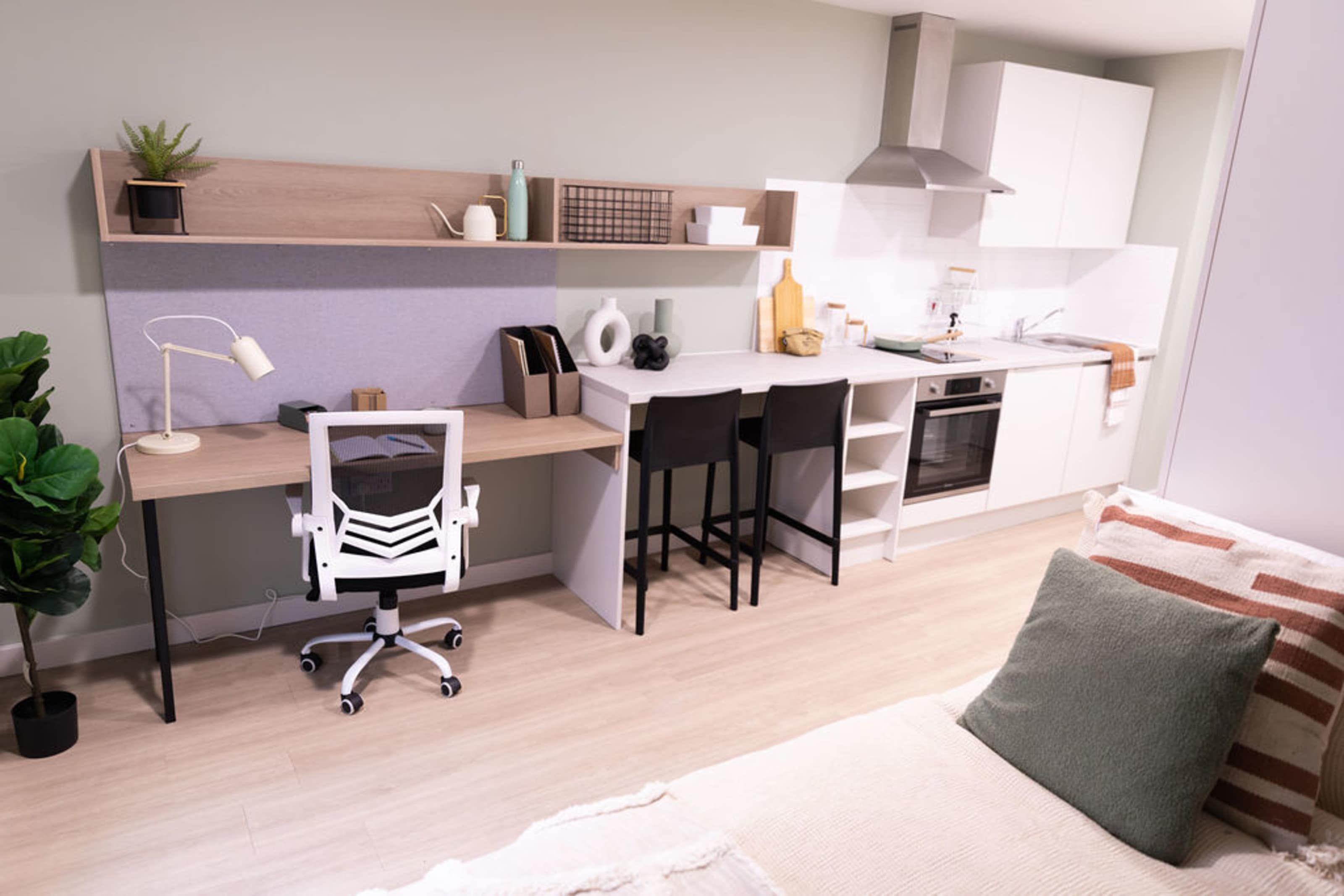 Standard Plus Studio
