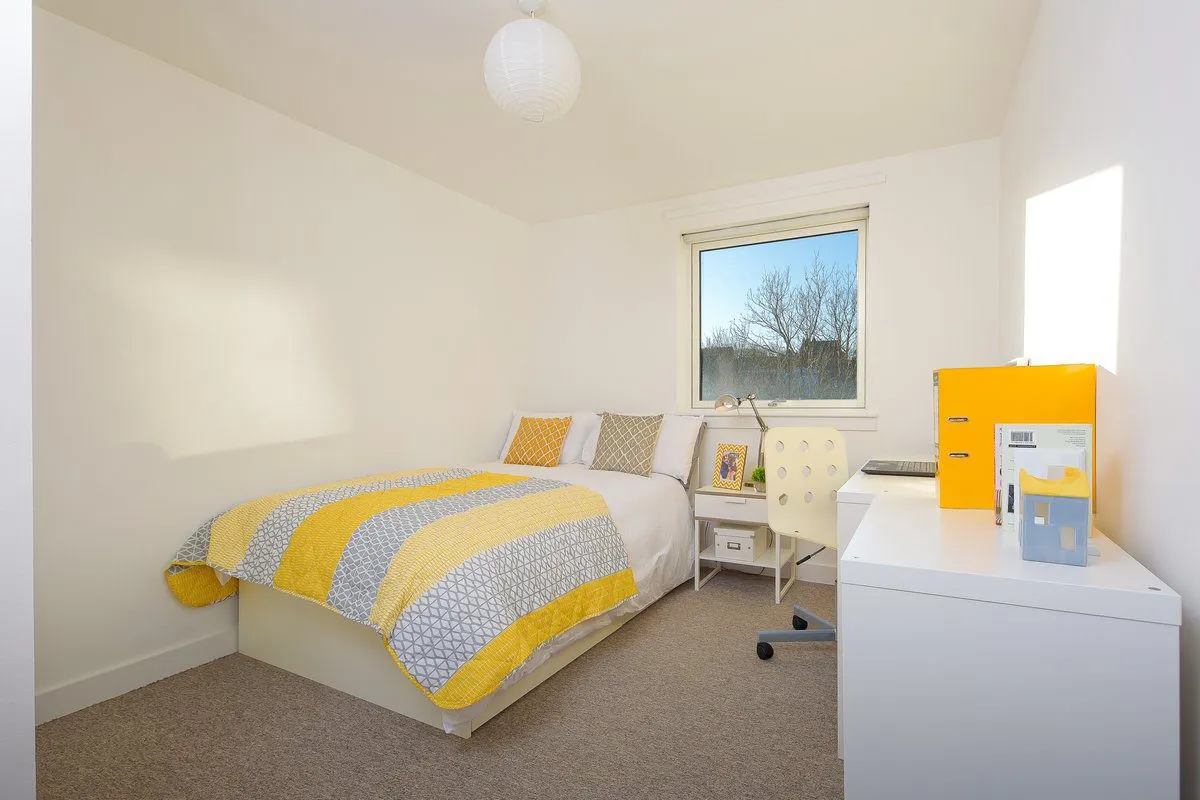 Premium Plus - Large 2 Bed Flats - room