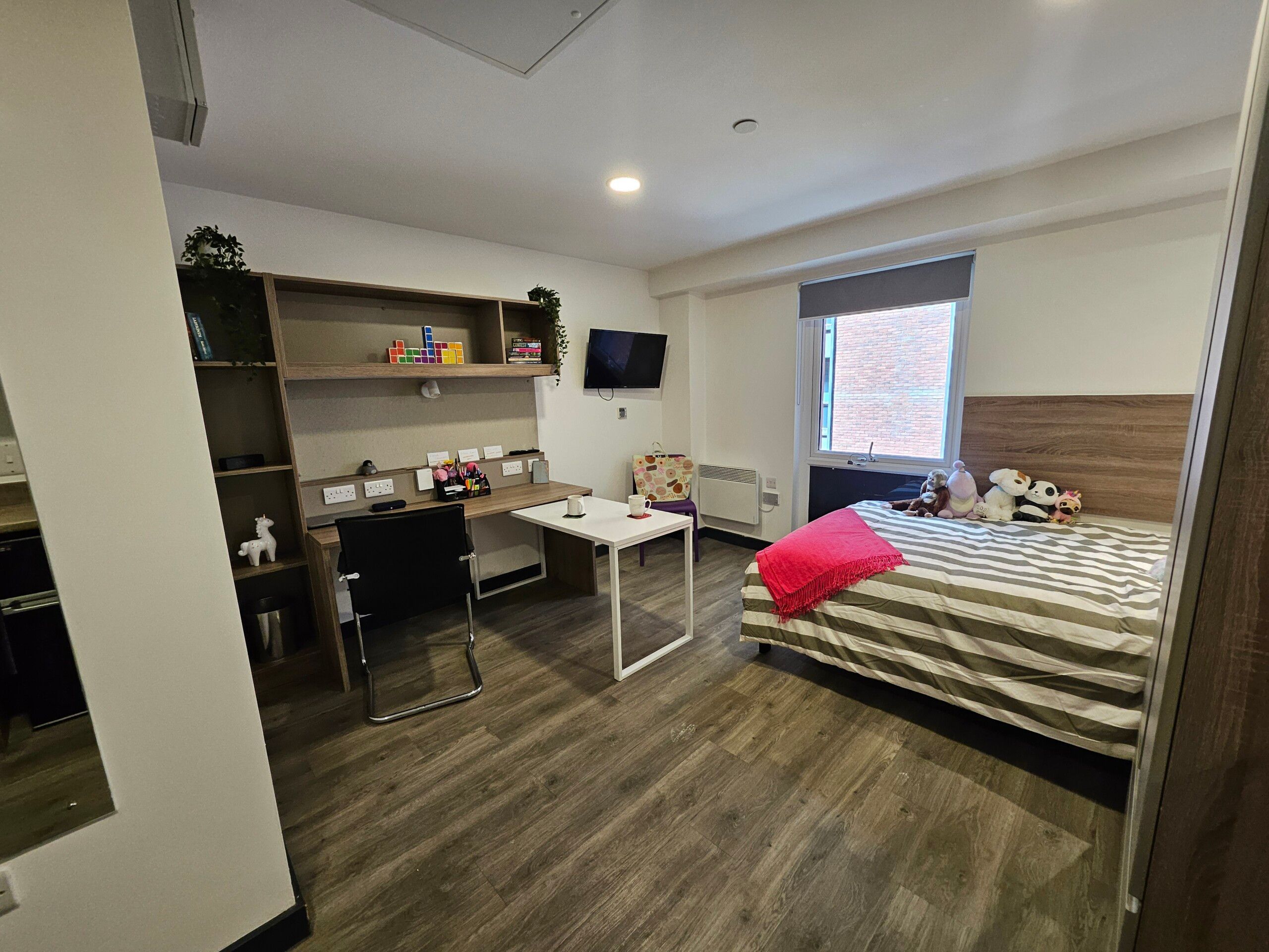 Premium Plus Studio