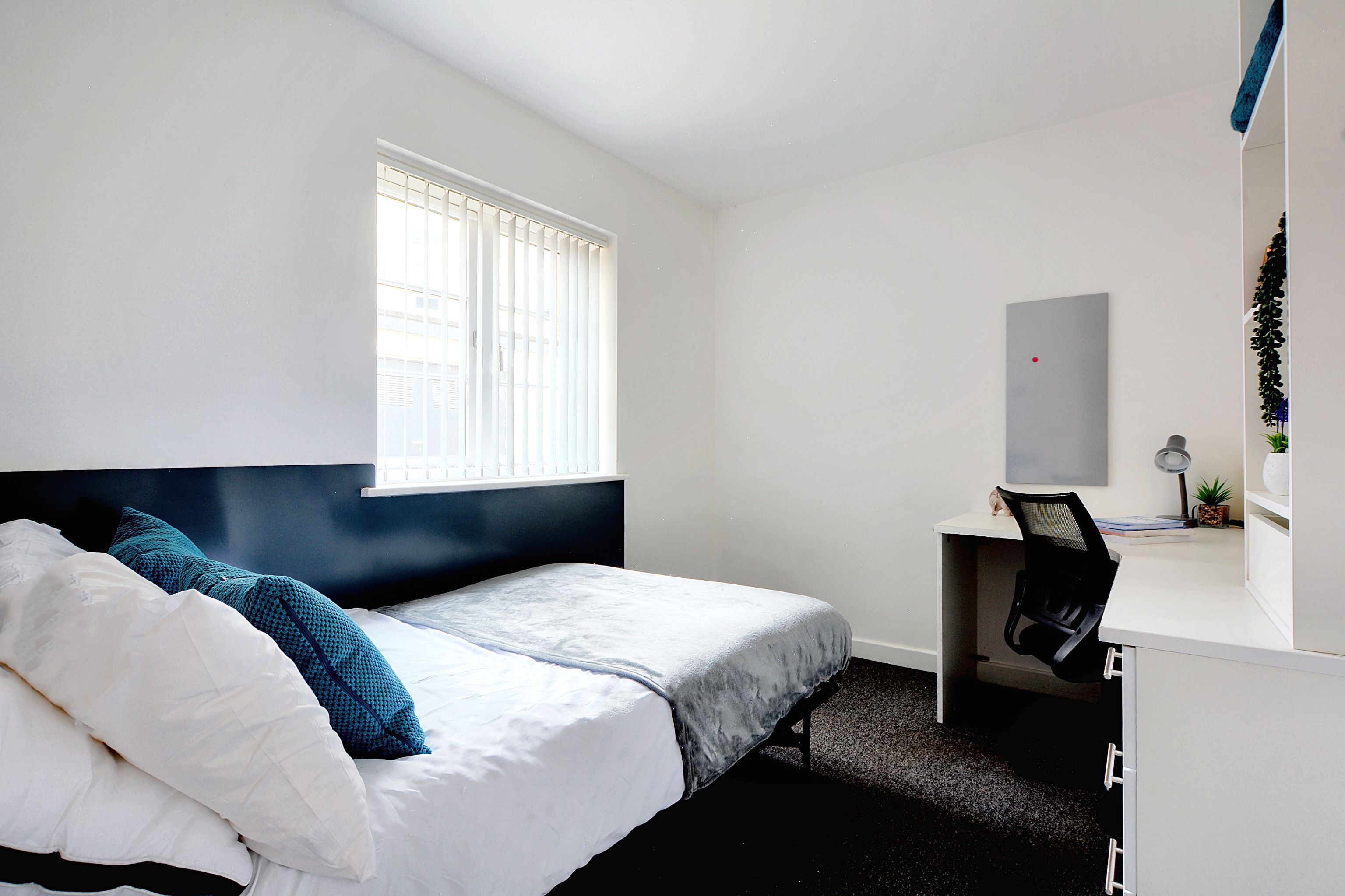2 Bed Apartment Basic - room