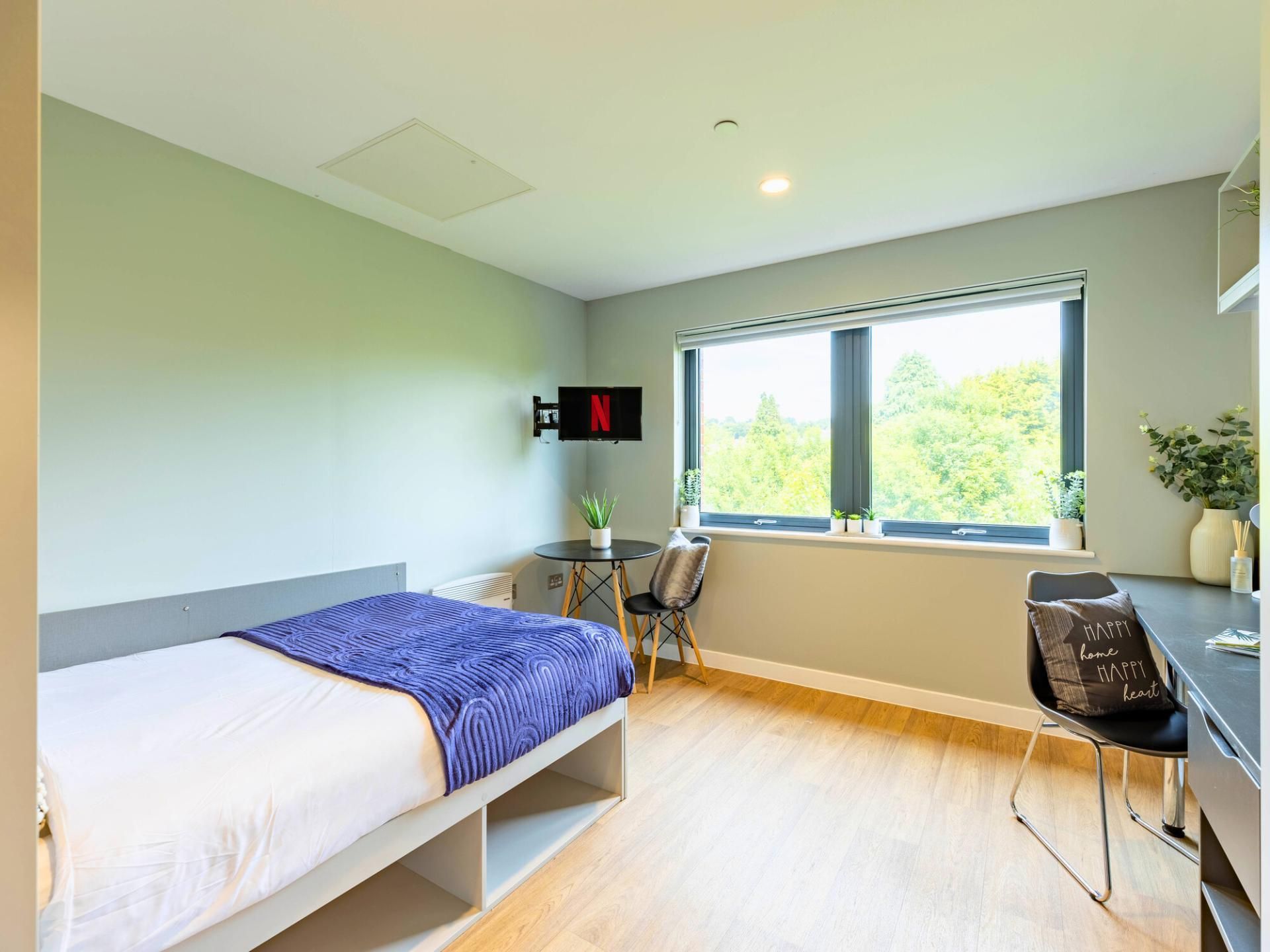 Penthouse Studio