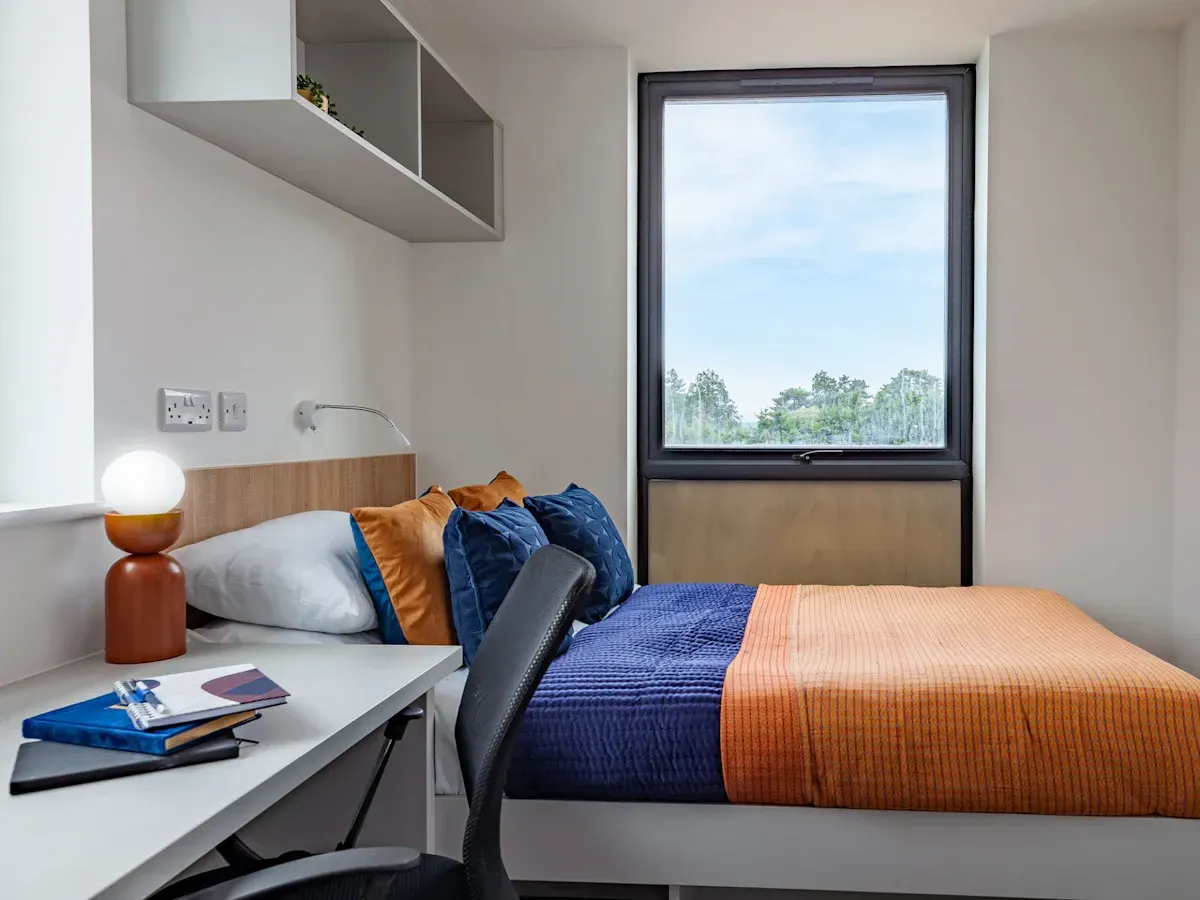 7-8 Bed Cluster Flat Ensuite - room