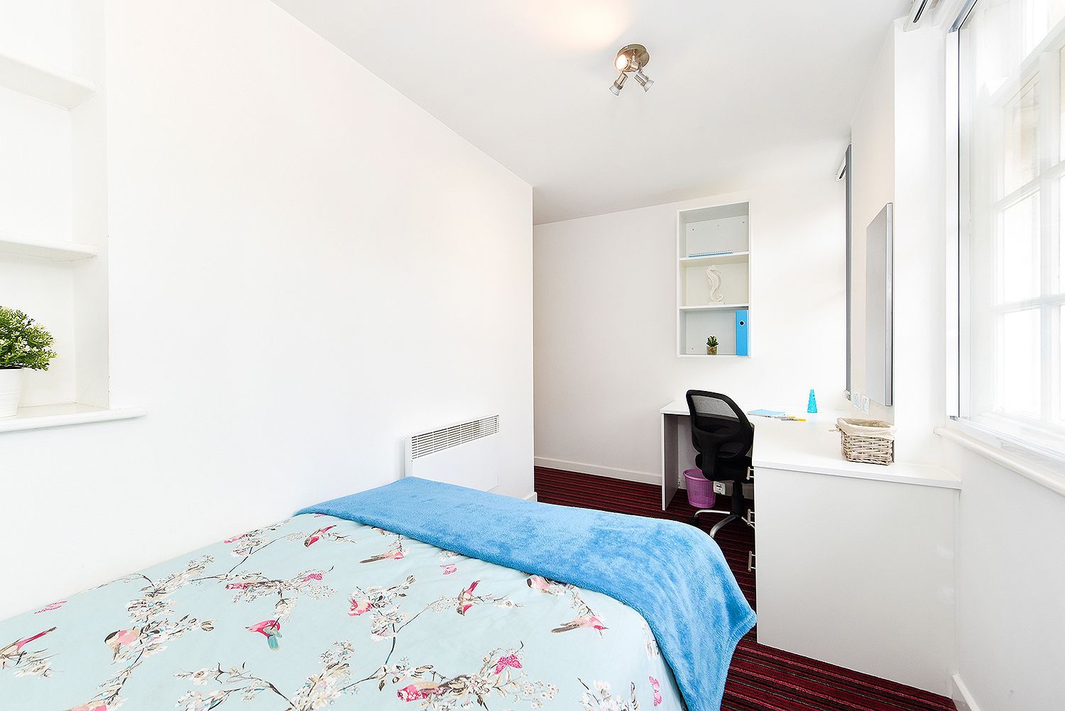 3 Bed Apartment - room