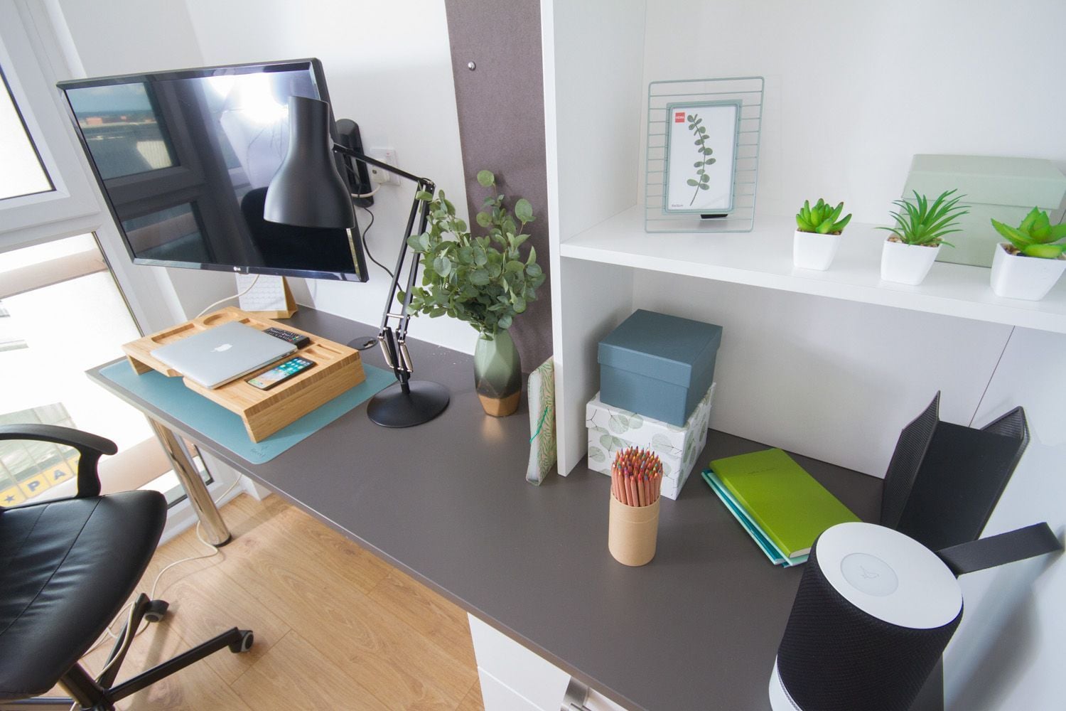 Skyline Classic Studio