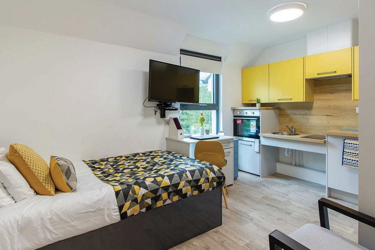 Deluxe Accessible Studio