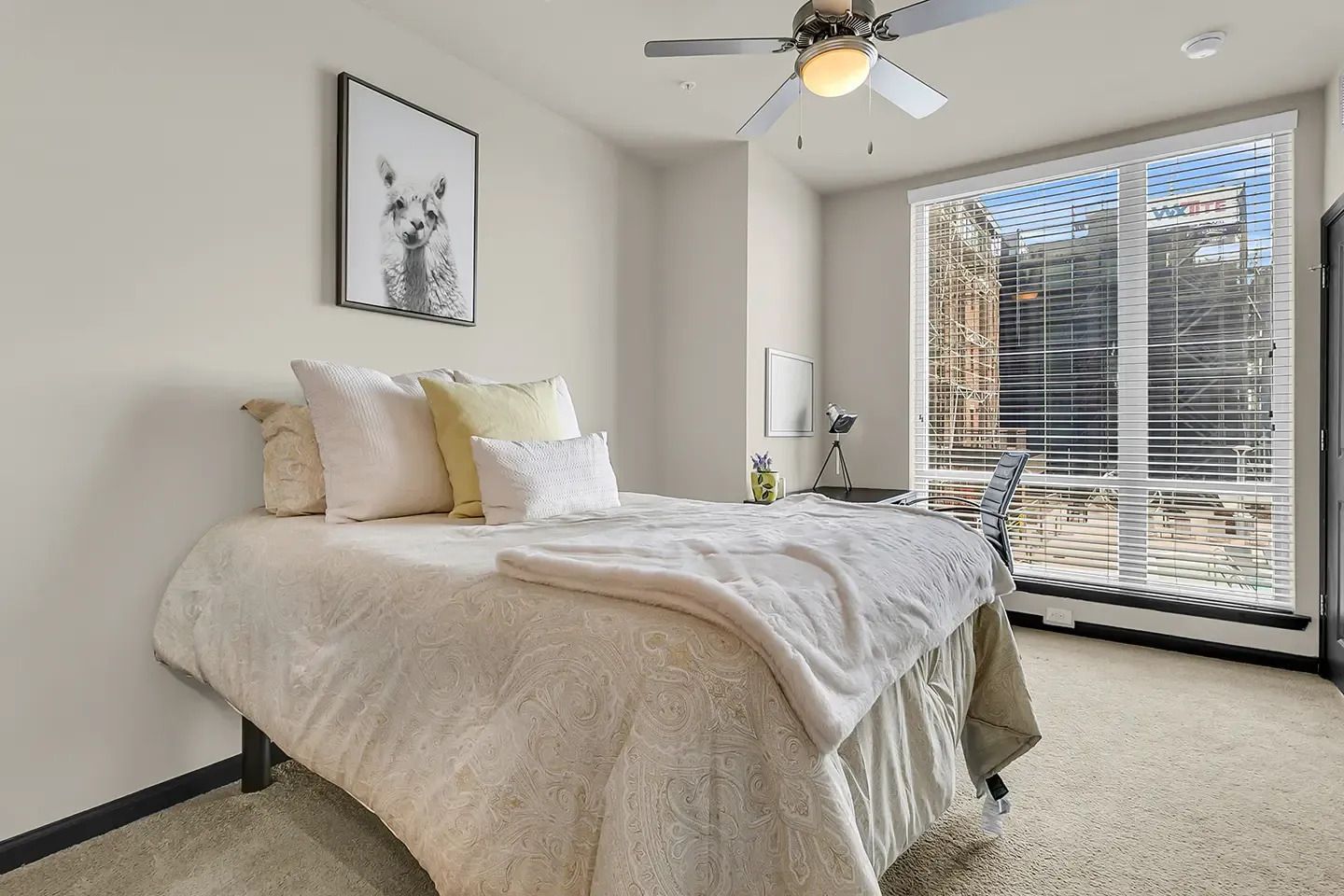 4 Bed / 4 Bath - C2 (Private) - room