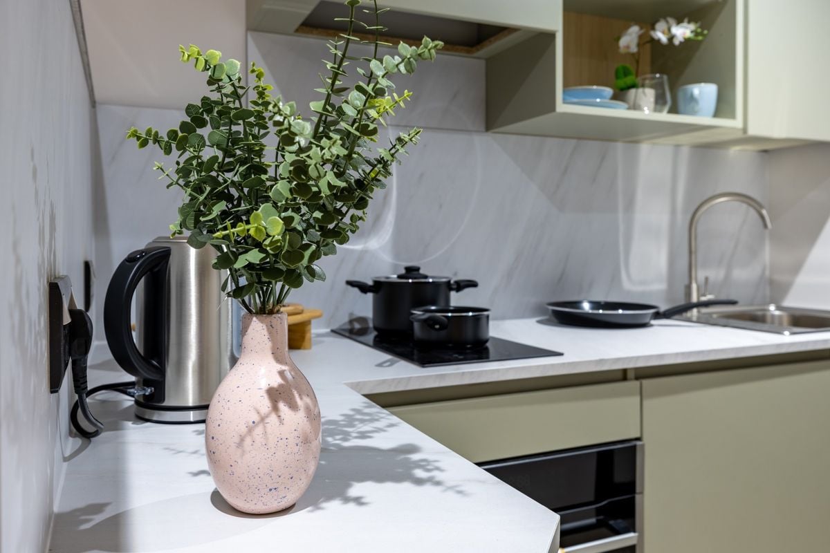 Hall - Biscuit Factory - 11