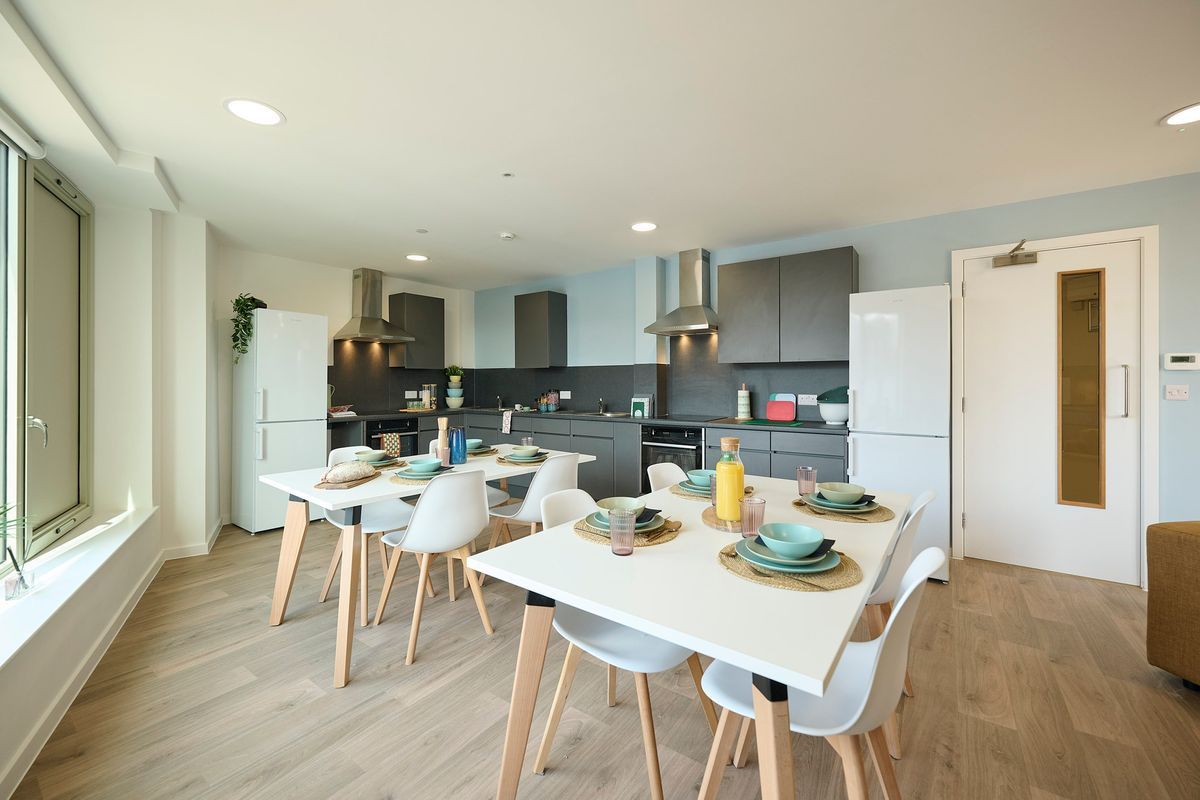 Hall - Brigg Point - 7