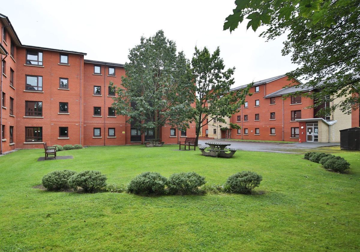 Hall iQ Daisy Bank - 8