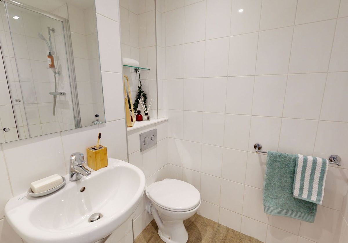 Hall iQ Sawmills - 9