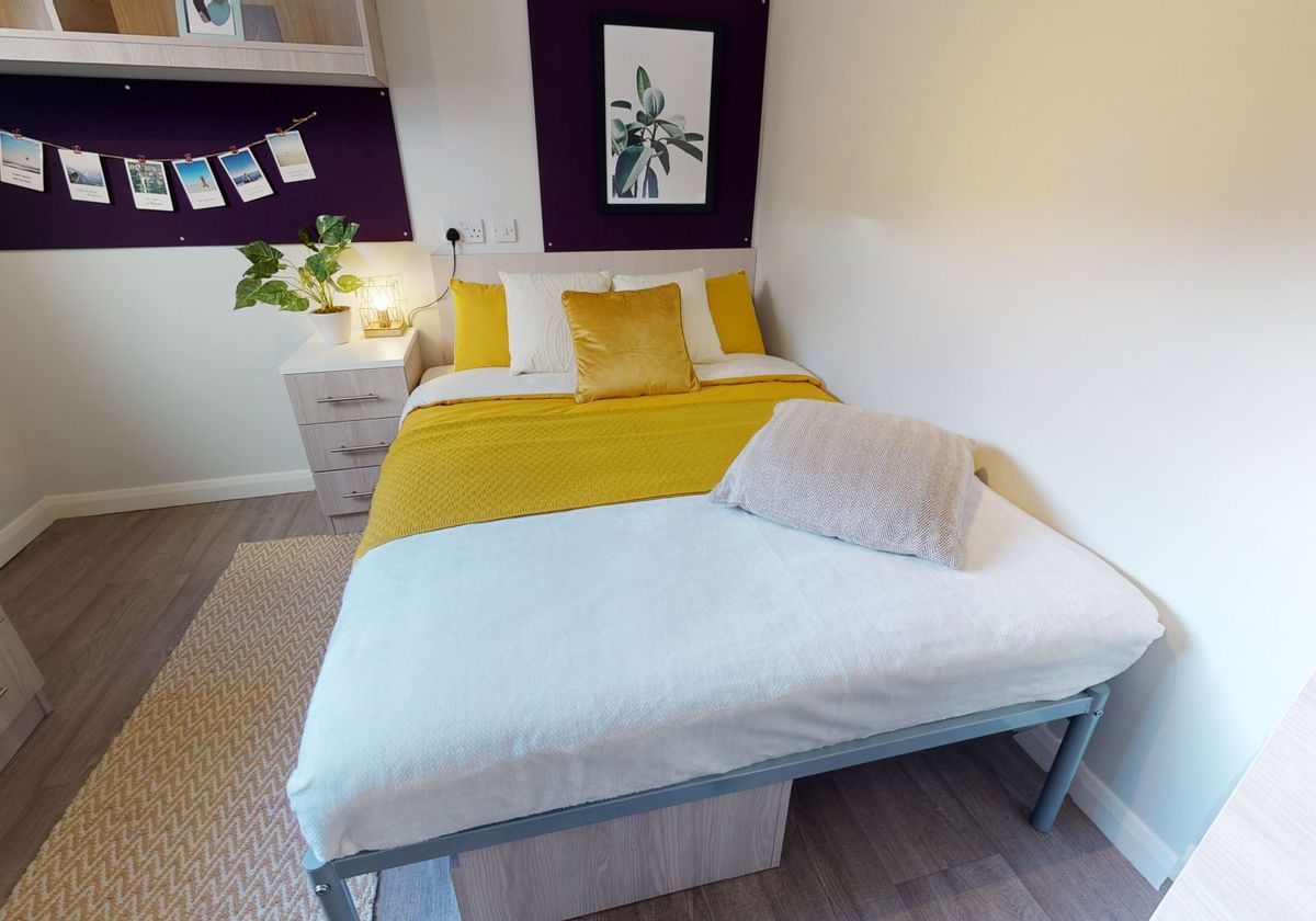 Hall iQ Sawmills - 2