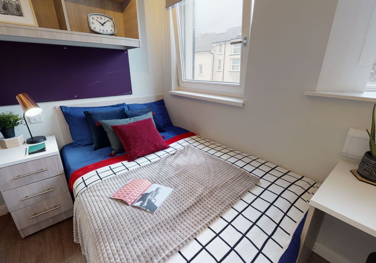 Hall iQ Sawmills - 6