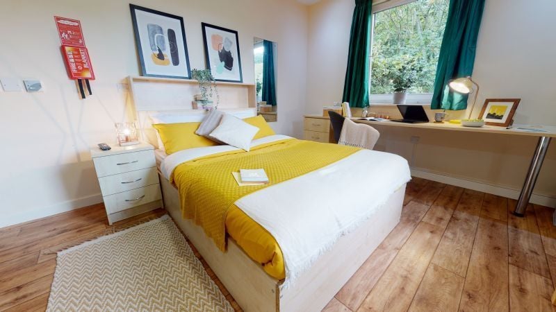 Hall iQ Ty Willis House - 1