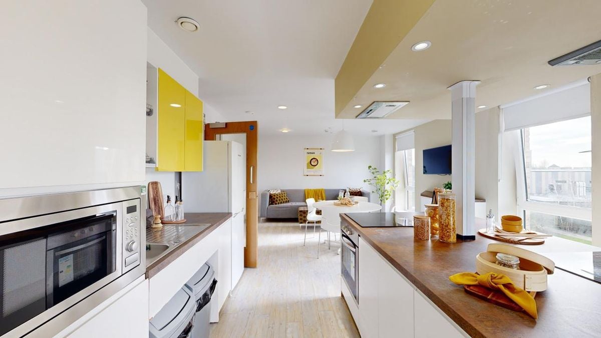 Hall - Merlin Point - 0