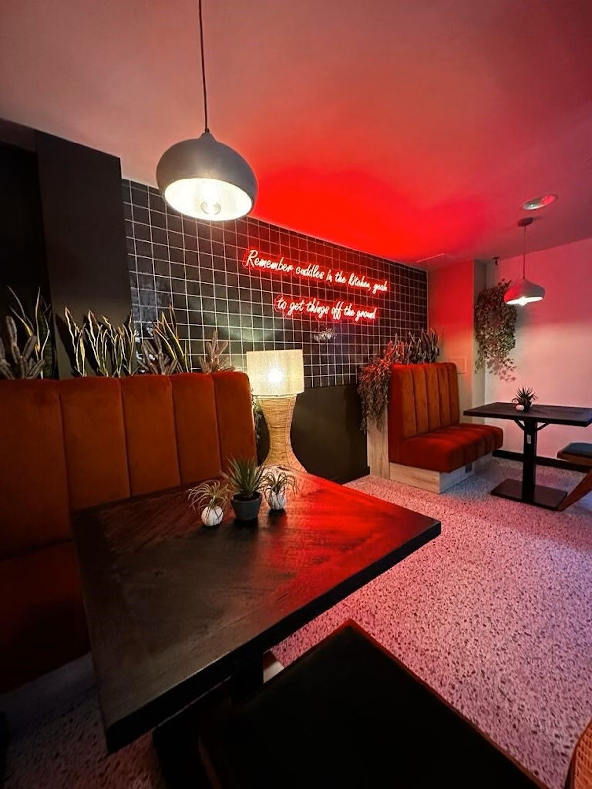 Hall Newcastle 1, Newcastle - 5