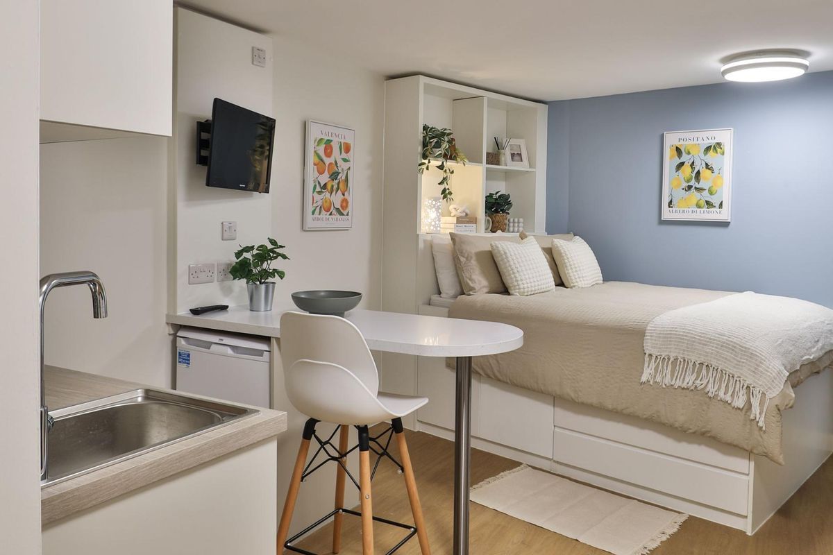 Hall - Tamarillo House - 4