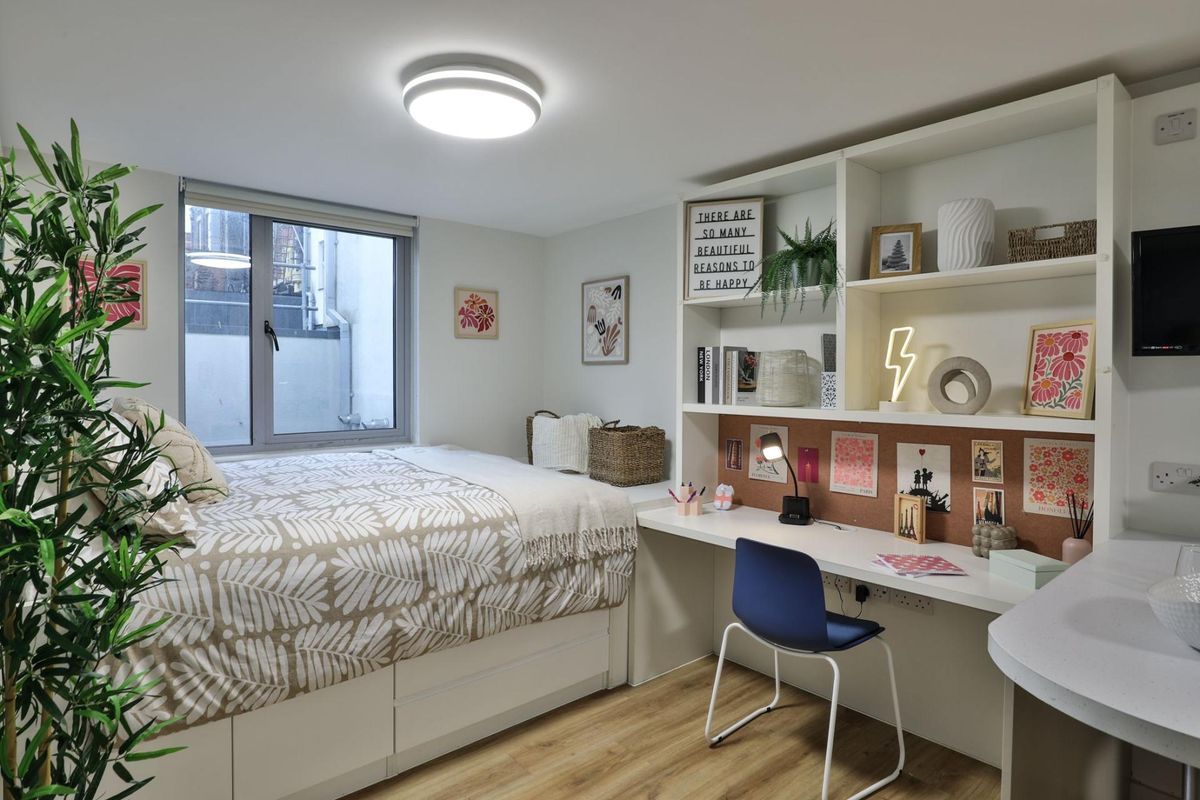 Hall - Tamarillo House - 5
