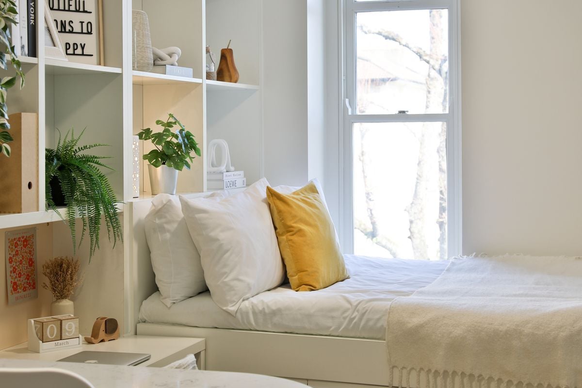 Hall - Tamarillo House - 1