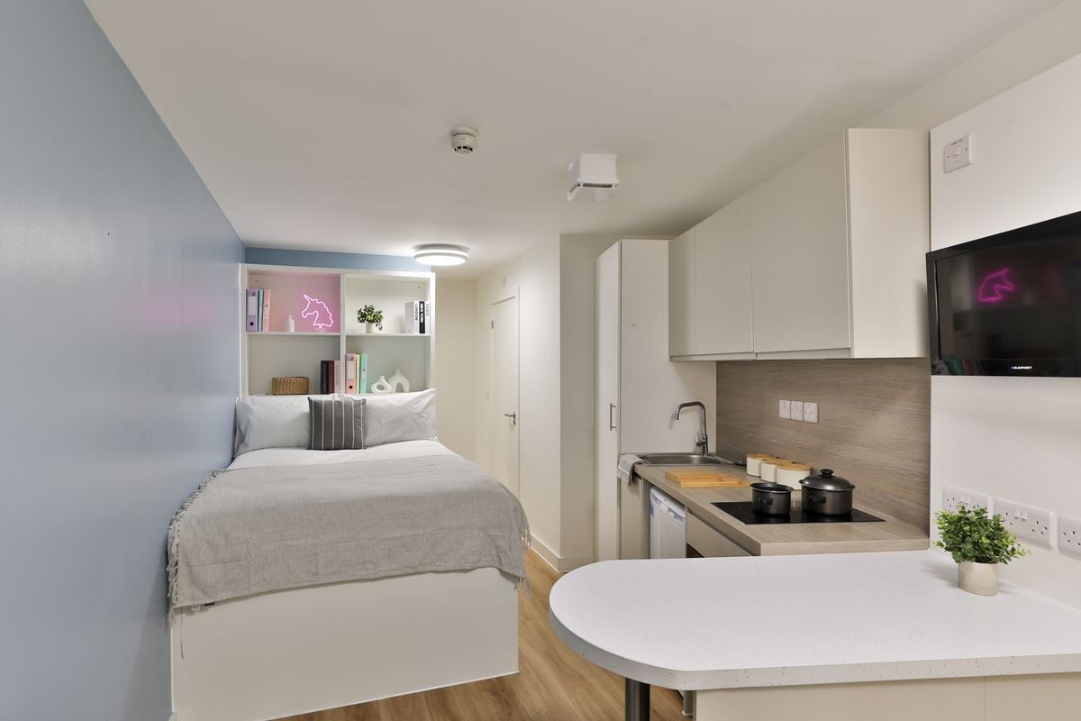 Hall - Tamarillo House - 3