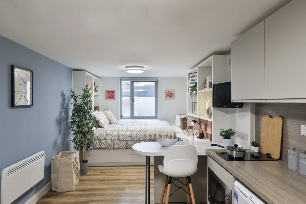 Hall - Tamarillo House - 2