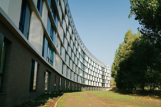 Hall - The Copse - 8