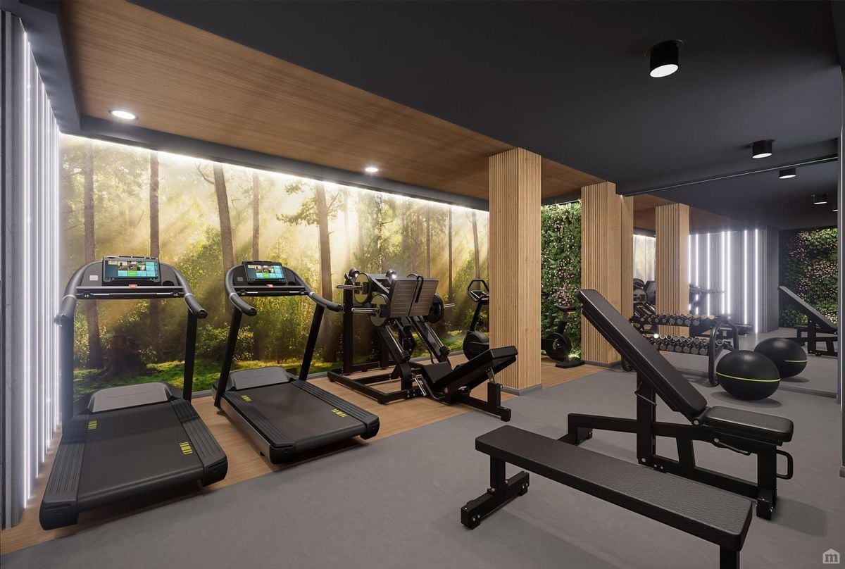 Hall - The Dolphin - 1