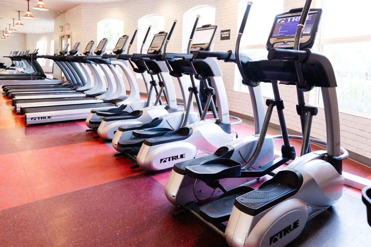 Hall - The Scarlet - 9