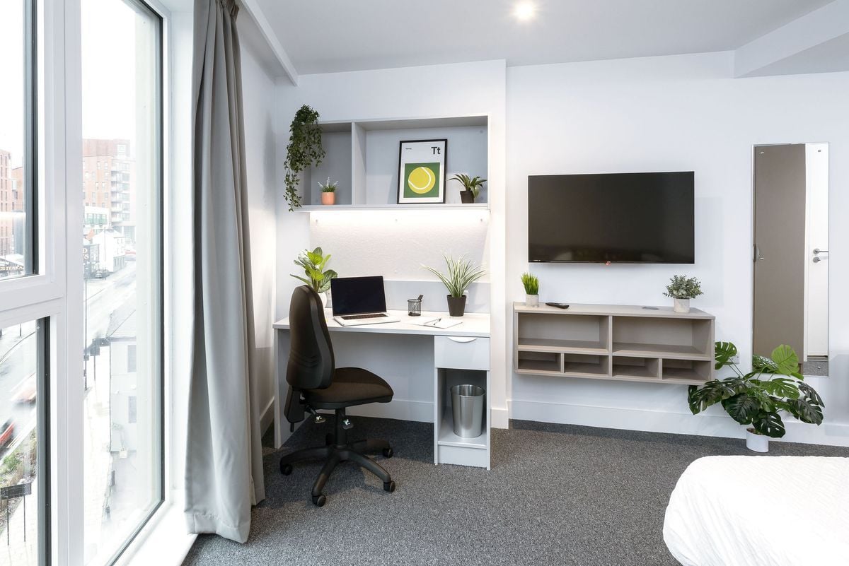 Hall - True Sheffield - 2