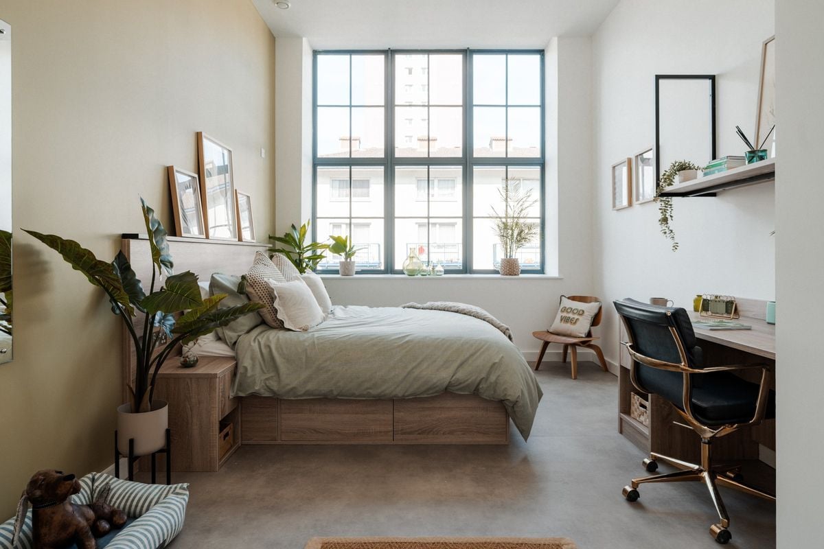 Hall - YourTRIBE Deptford - 9