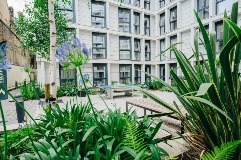 credit: Now Students