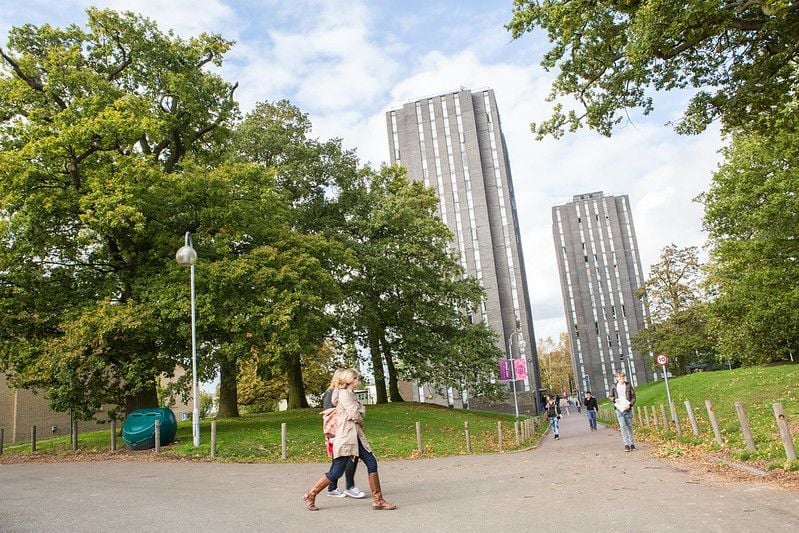credit: https://www.essex.ac.uk/life/accommodation/colchester/south-towers