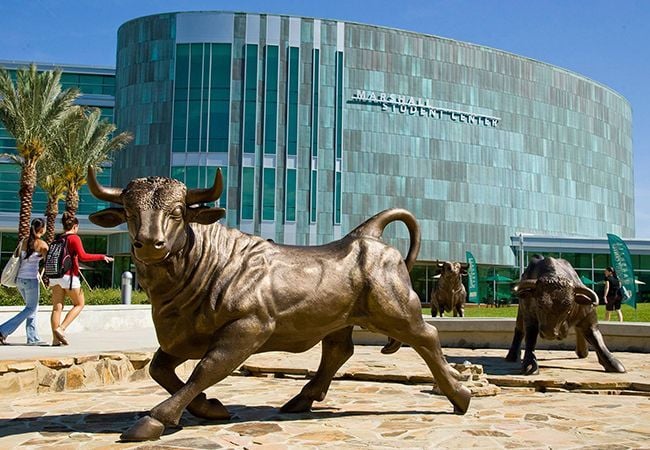 credit: https://www.usf.edu/