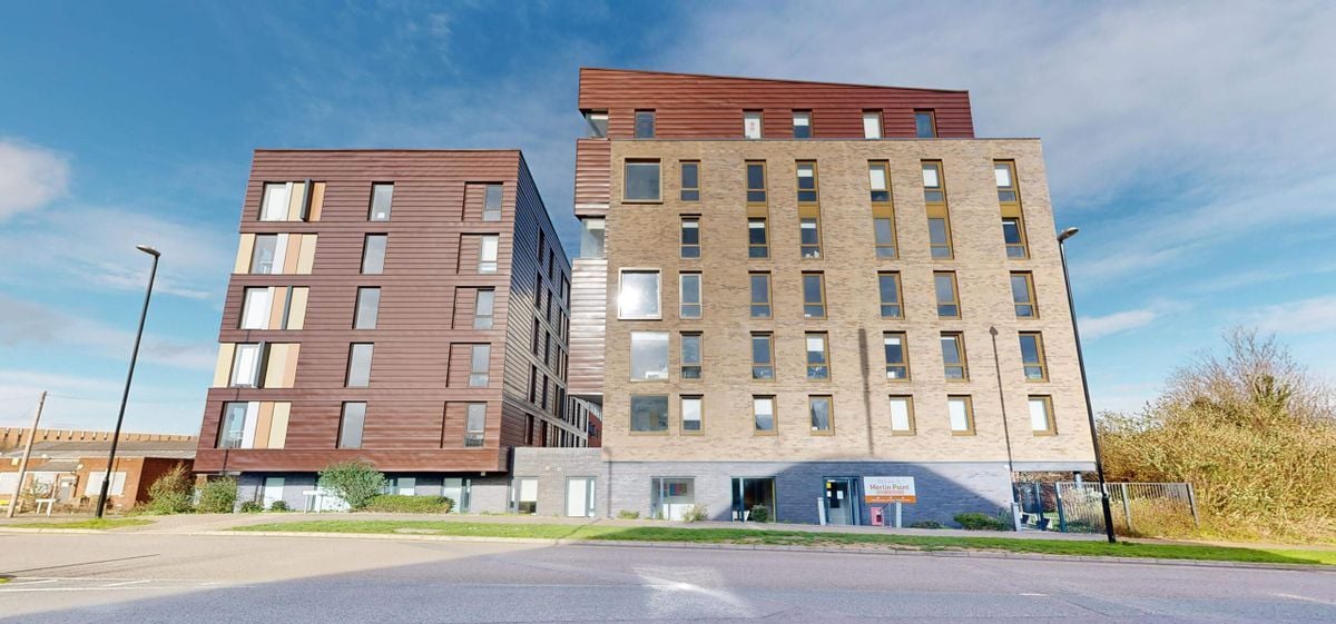 credit: https://www.amigo-living.com/#