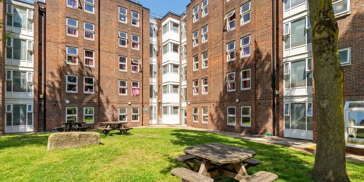 credit: https://www.mezzino.com/property/wood-green-hall/?dd_vid=206a2463-5e6d-4923-93fc-8b320bb9e73a