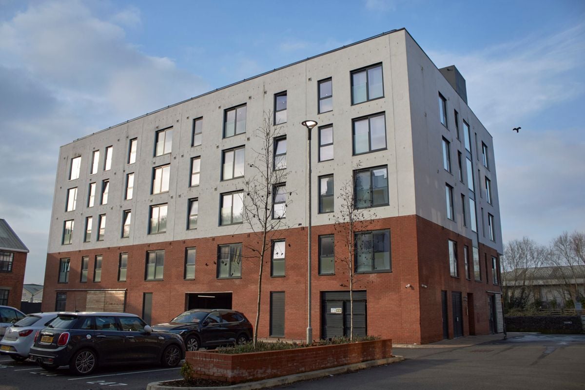 credit: https://rengenlettings.com/584-2/