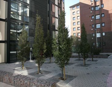 credit: http://www.adp-architecture.com/projects/nixon-court