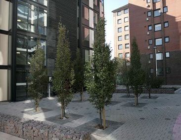credit: http://www.adp-architecture.com/projects/nixon-court