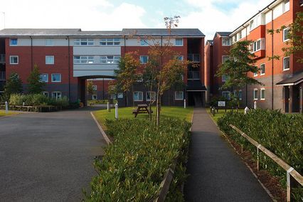 credit: http://www.flickr.com/photos/unibirmingham/5445650118/