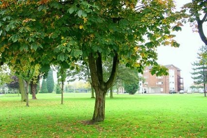 credit: http://www.chester.ac.uk/sites/files/chester/imagecache/accom/images/accom_image/IMG_4852.jpg