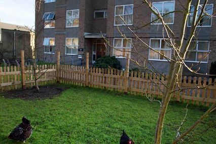 credit: https://www.roehampton.ac.uk/accommodation/froebel/garden-court/