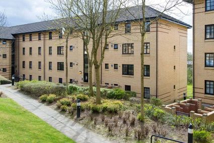 credit: https://www.google.com/url?sa=i&url=https%3A%2F%2Fwww.sanctuary-students.com%2Fstudent-accommodation%2Fglasgow%2Fmurano-street-student-village&psig=AOvVaw3UbFy55wyPwkOL7LH9rujZ&ust=1581083872662000&source=images&cd=vfe&ved=0CAIQjRxqFwoTCODVsMqKvecCFQAAAAAdAAAAABAa