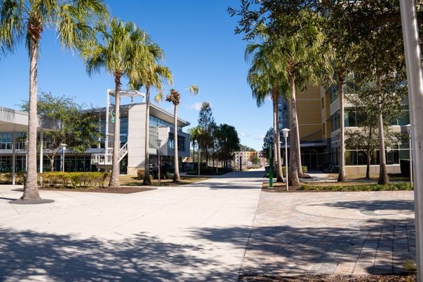 Hall - University of South Florida (USF) - 6