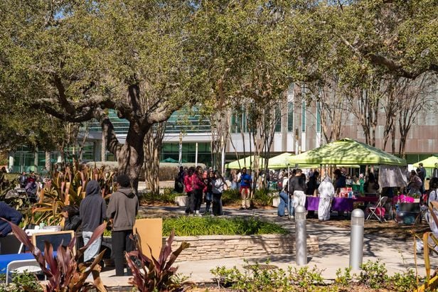 Hall - University of South Florida (USF) - 9