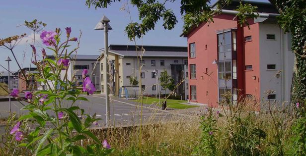 The Grove Sligo - 0 Student Reviews | StudentCrowd